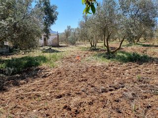 Solar en venta en Ronda