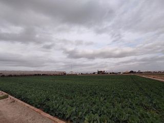 Terreno en venta en Almàssera