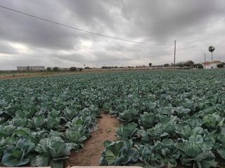 Terreno en venta en Almàssera