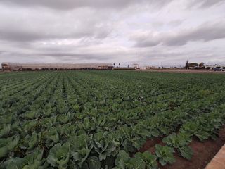 Terreno en venta en Almàssera