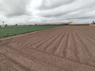 Terreno en venta en Almàssera