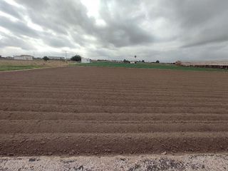 Terreno en venta en Almàssera