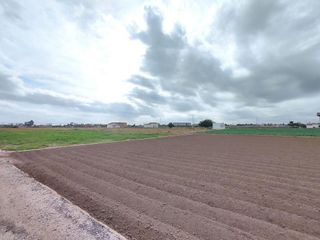 Terreno en venta en Almàssera