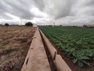 Terreno en venta en Almàssera