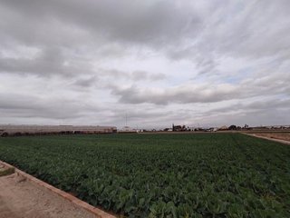 Terreno en venta en Alboraya Centro en Alboraya
