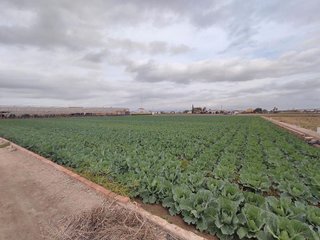 Terreno en venta en Alboraya Centro en Alboraya
