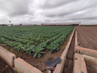 Terreno en venta en Alboraya Centro en Alboraya