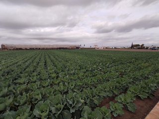 Terreno en venta en Alboraya Centro en Alboraya