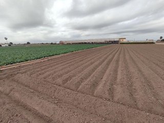 Terreno en venta en Alboraya Centro en Alboraya