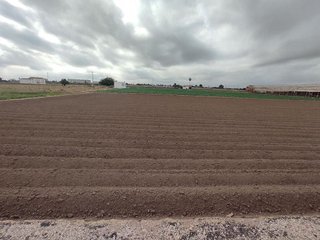Terreno en venta en Alboraya Centro en Alboraya