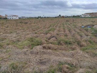Terreno en venta en Alboraya Centro en Alboraya