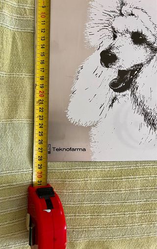 Lamina cane decorativa