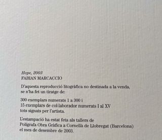 Litografía firmada Fabian Marcaccio (1963)