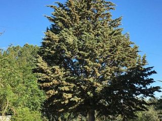 Chalet en venta en Zona Fuentemora en Antequera