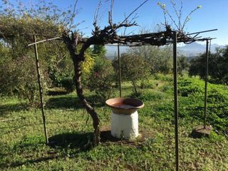 Chalet en venta en Zona Fuentemora en Antequera