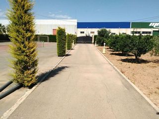 Chalet en venta en Torre-Pacheco ciudad en Torre Pacheco