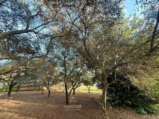 Casa rural en venta en Alcolea en Córdoba