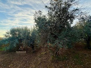 Casa rural en venta en Alcolea en Córdoba