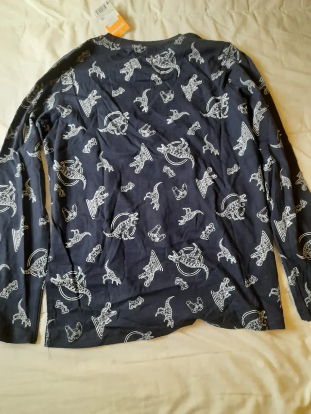 Camiseta manga larga dinosaurios