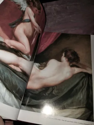 Libro la luz en la pintura