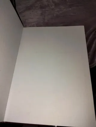 Libro la luz en la pintura