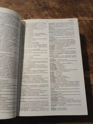 Dizionario inglese-italiano