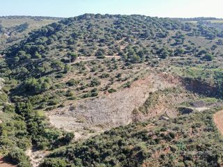 Terreno en venta en Arcos de la Frontera