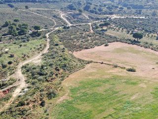 Terreno en venta en Arcos de la Frontera