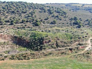 Terreno en venta en Arcos de la Frontera