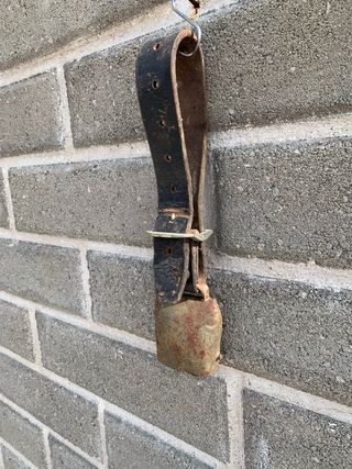 Campana antica con collare in cuoio