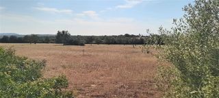 Terreno en venta en Manacor Centro en Manacor