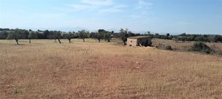 Terreno en venta en Manacor Centro en Manacor