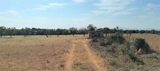 Terreno en venta en Manacor Centro en Manacor