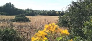 Terreno en venta en Manacor Centro en Manacor