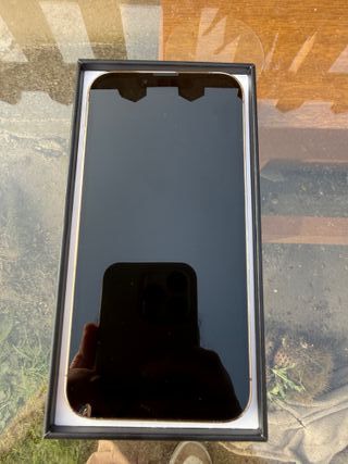 iPhone 13 Pro 128GB Dorado - 91% Batería