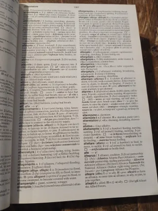 Dizionario italiano-inglese