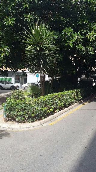 Local comercial en venta en La Constitución - Canaleta en Mislata