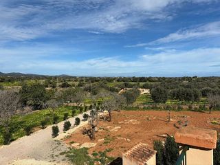 Casa rural en alquiler en Santanyí