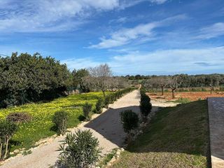 Casa rural en alquiler en Santanyí