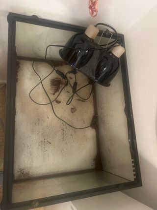 Terrario Tortuga sin luz
