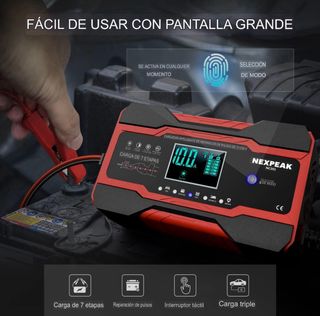 Cargador Inteligente NEXPEAK 12V/24V