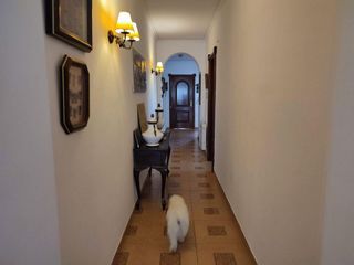 Chalet en venta en Torreblanca