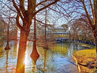 Piso en alquiler en Jerónimos en Madrid