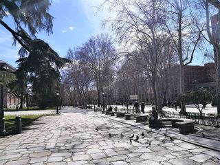 Piso en alquiler en Jerónimos en Madrid
