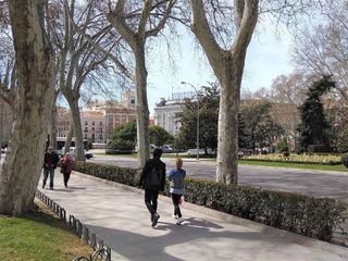 Piso en alquiler en Jerónimos en Madrid