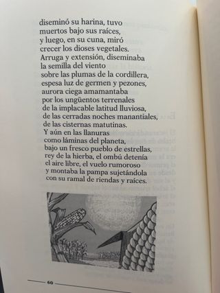 Libro lectura Pablo Neruda para niños