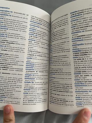 Diccionario Español - Francés