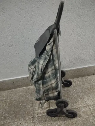 Carro de la compra con bolsa