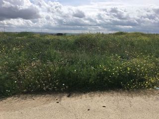 Terreno en venta en Torrejón de la Calzada
