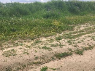 Terreno en venta en Torrejón de la Calzada